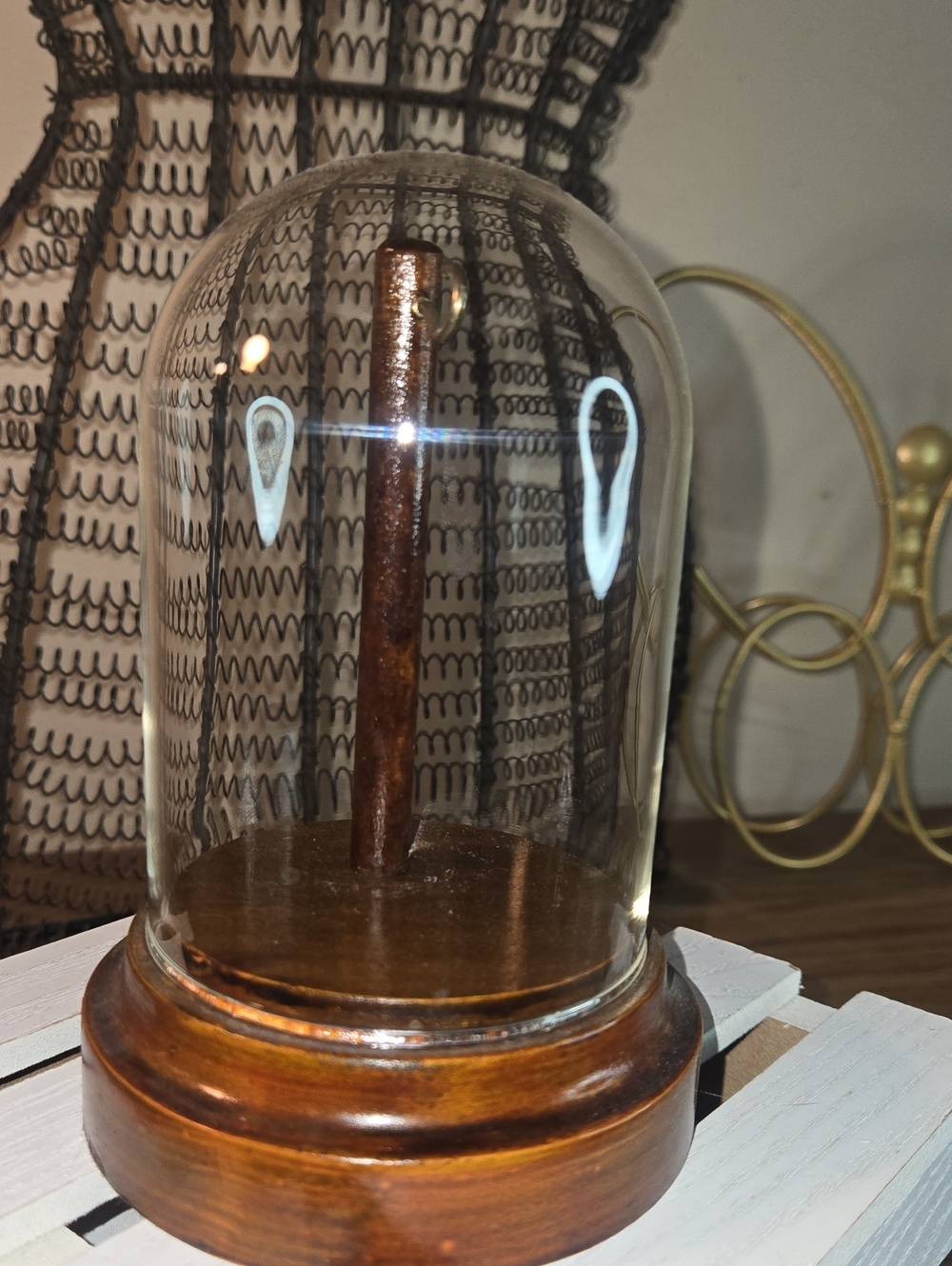 Glass Display Dome with Wooden Base - Brown